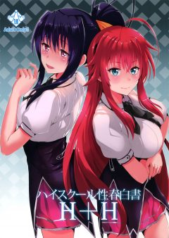 You are currently viewing Highschool of Spring White Paper H+H [Highschool DxD]